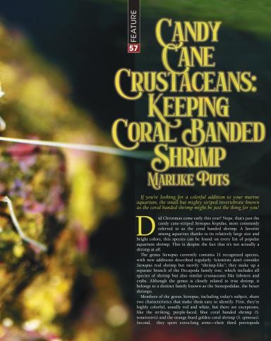 Tropical Fish Hobbyist article by Marijke Puts