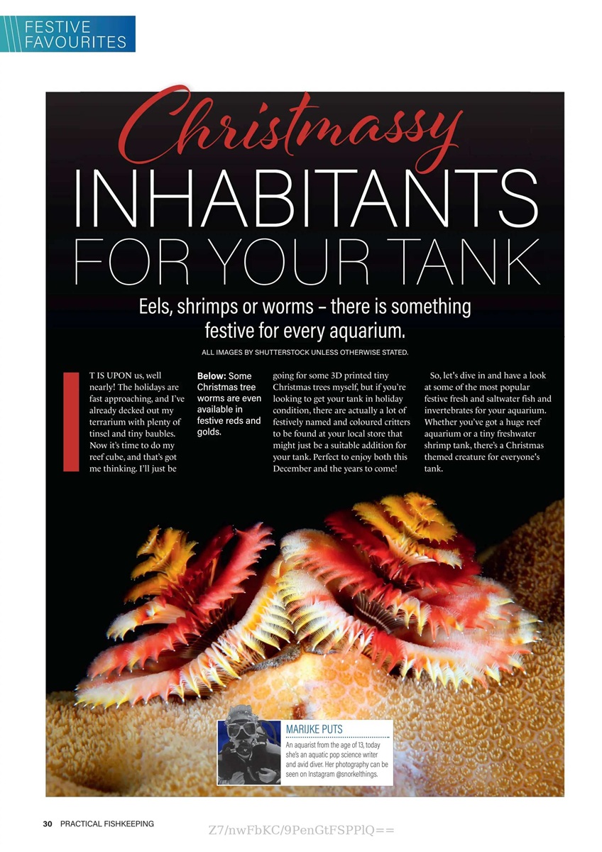 Page of Practical Fishkeeping Magazine