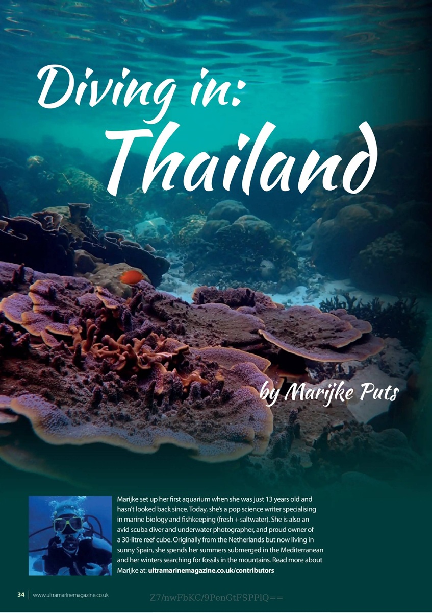 Page of UltraMarine Magazine featuring article by Marijke Puts