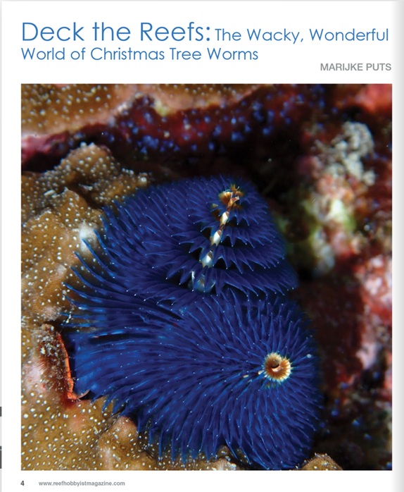 Reef Hobbyist Magazine article by Marijke Puts